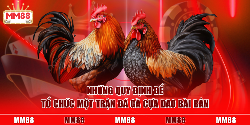 Những quy định để tổ chức một trận đá gà cựa dao bài bản