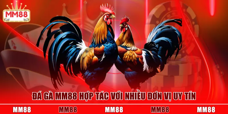 Đá Gà MM88 hợp tác với nhiều đơn vị uy tín