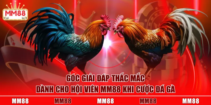 Góc giải đáp thắc mắc dành cho hội viên MM88 khi cược Đá Gà