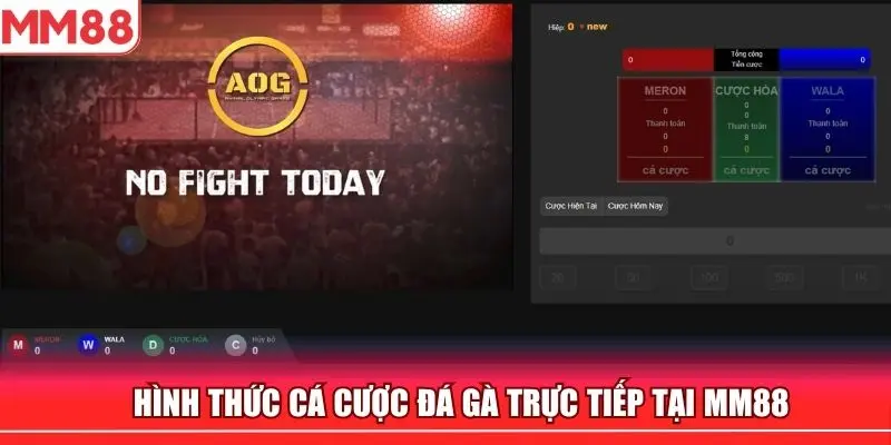 Hình thức vừa xem đá gà trực tiếp vừa cá cược khá được ưa chuộng tại MM88