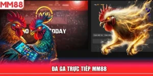 đá gà trực tiếp mm88