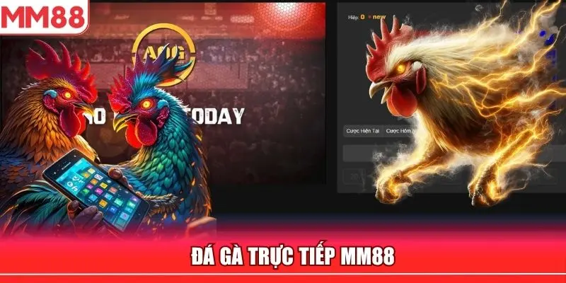 đá gà trực tiếp mm88
